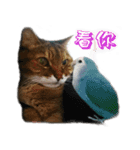 The Life of Candy（個別スタンプ：3）