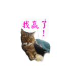 The Life of Candy（個別スタンプ：9）