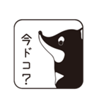 黒柴わんこの会話判子（個別スタンプ：9）