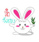 Am rabbit（個別スタンプ：22）