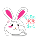 Am rabbit（個別スタンプ：33）