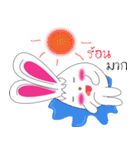 Am rabbit（個別スタンプ：34）