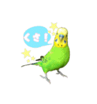 セキセイインコのぽぽちゃん（個別スタンプ：2）