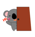 Little Koala sticker(eng)（個別スタンプ：1）