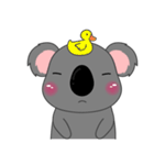 Little Koala sticker(eng)（個別スタンプ：9）