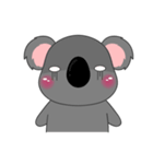 Little Koala sticker(eng)（個別スタンプ：11）