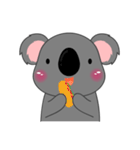 Little Koala sticker(eng)（個別スタンプ：13）