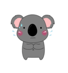 Little Koala sticker(eng)（個別スタンプ：19）