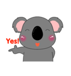 Little Koala sticker(eng)（個別スタンプ：25）