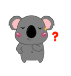 Little Koala sticker(eng)（個別スタンプ：31）