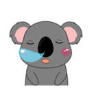 Little Koala sticker(eng)（個別スタンプ：32）