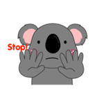 Little Koala sticker(eng)（個別スタンプ：33）