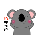 Little Koala sticker(eng)（個別スタンプ：35）