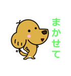 ミックス犬 チャピ（個別スタンプ：10）