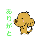 ミックス犬 チャピ（個別スタンプ：18）