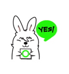 jod the rabbit（個別スタンプ：8）