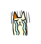 cheeze cat（個別スタンプ：14）