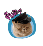 My Sassy Cats（個別スタンプ：4）
