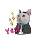 My Sassy Cats（個別スタンプ：6）