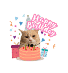 My Sassy Cats（個別スタンプ：9）