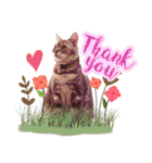 My Sassy Cats（個別スタンプ：15）