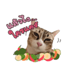 My Sassy Cats（個別スタンプ：24）