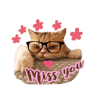 My Sassy Cats（個別スタンプ：30）