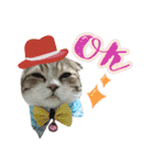 My Sassy Cats（個別スタンプ：34）