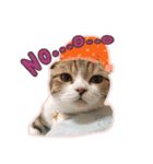 My Sassy Cats（個別スタンプ：39）