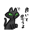 目つきのワルい黒猫さん（個別スタンプ：11）