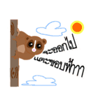 SAVE SLOW LORIS（個別スタンプ：8）
