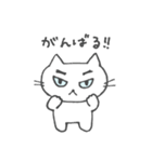 猫のみーちゃん（個別スタンプ：15）
