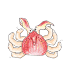 成りすましにご注意を！！（個別スタンプ：37）