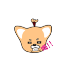 タイムスリップ『さむらいぬ』（個別スタンプ：7）