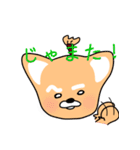 タイムスリップ『さむらいぬ』（個別スタンプ：11）