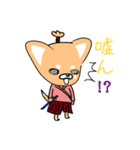 タイムスリップ『さむらいぬ』（個別スタンプ：24）