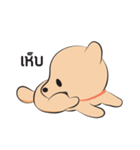Kapi a little dog（個別スタンプ：2）