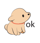 Kapi a little dog（個別スタンプ：3）