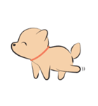 Kapi a little dog（個別スタンプ：6）