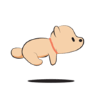Kapi a little dog（個別スタンプ：9）