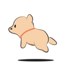 Kapi a little dog（個別スタンプ：10）