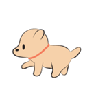 Kapi a little dog（個別スタンプ：19）