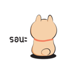 Kapi a little dog（個別スタンプ：22）