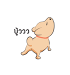 Kapi a little dog（個別スタンプ：25）