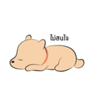 Kapi a little dog（個別スタンプ：26）