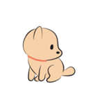 Kapi a little dog（個別スタンプ：27）