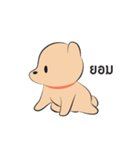 Kapi a little dog（個別スタンプ：28）