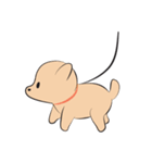Kapi a little dog（個別スタンプ：29）