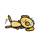 わんこのワンピーNO2（個別スタンプ：23）