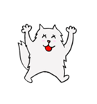 T cat（個別スタンプ：13）